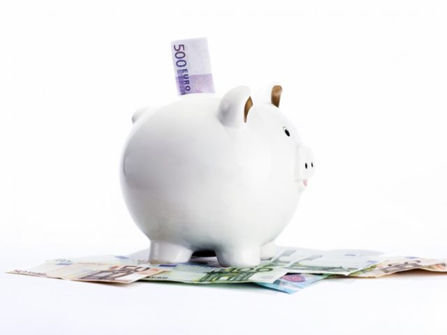 Sparschwein und Euro Geldscheine vor weissem Hintergrund